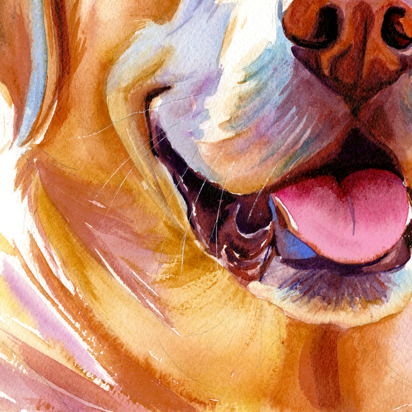 Sunny Days: Loyal & Loving Golden Labrador