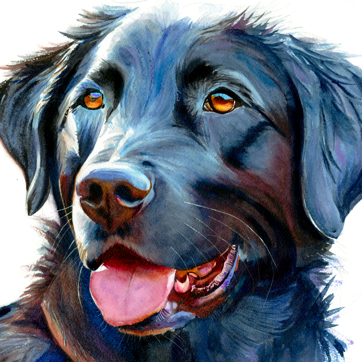 Midnight Blue: Loyal Smile of a Black Labrador