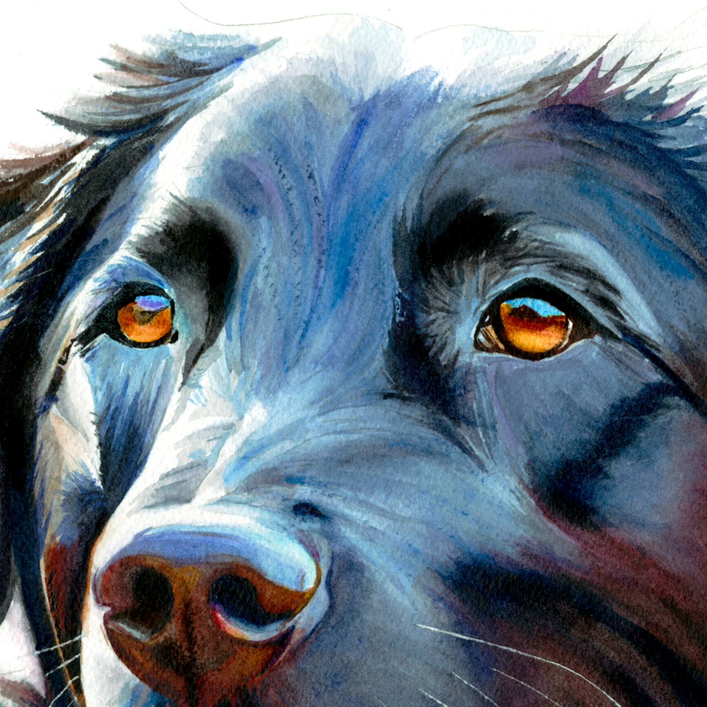 Midnight Blue: Loyal Smile of a Black Labrador
