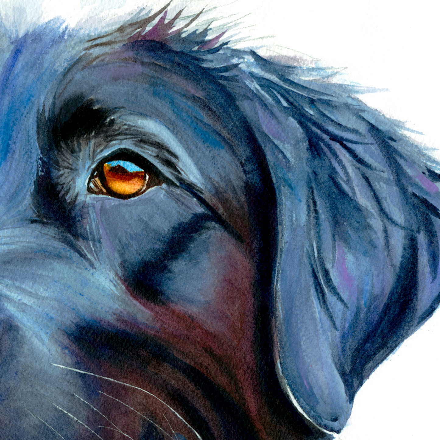 Midnight Blue: Loyal Smile of a Black Labrador