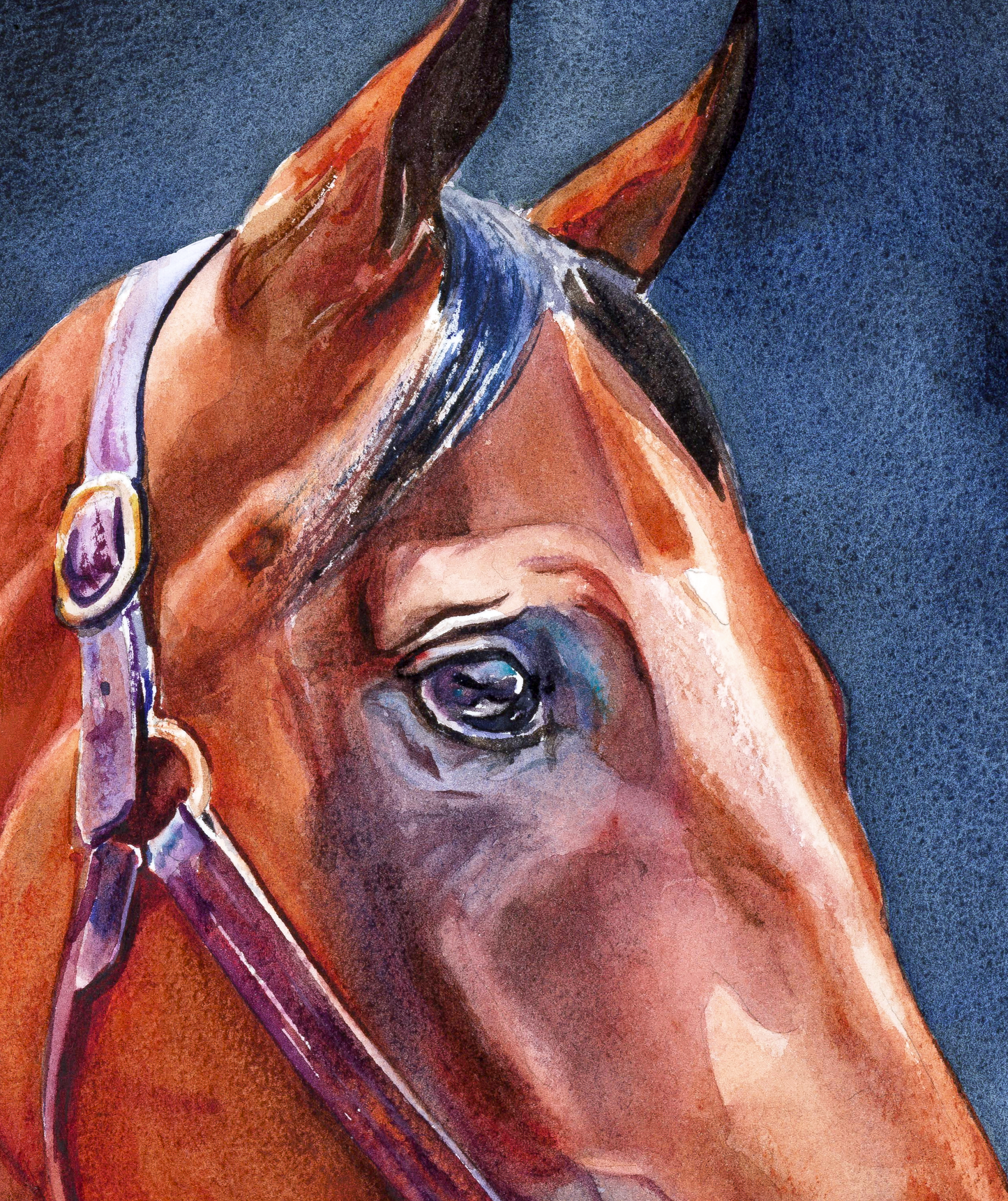 American Pharoah: The Legend
