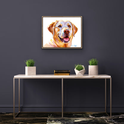 Sunny Days: Loyal & Loving Golden Labrador