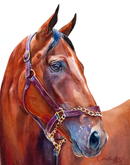 American Pharoah: The Legend (white background)