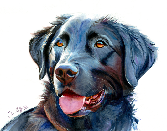Midnight Blue: Loyal Smile of a Black Labrador