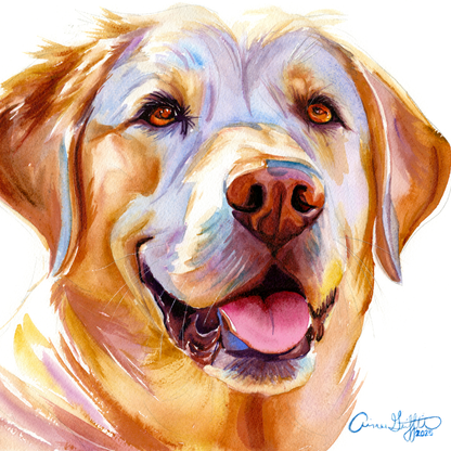 Sunny Days: Loyal & Loving Golden Labrador