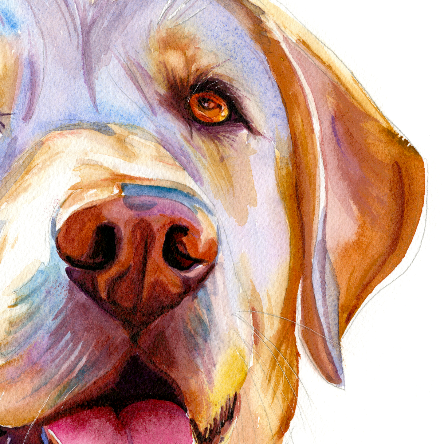 Sunny Days: Loyal & Loving Golden Labrador
