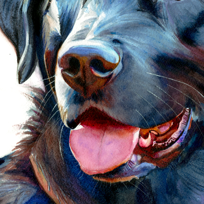 Midnight Blue: Loyal Smile of a Black Labrador