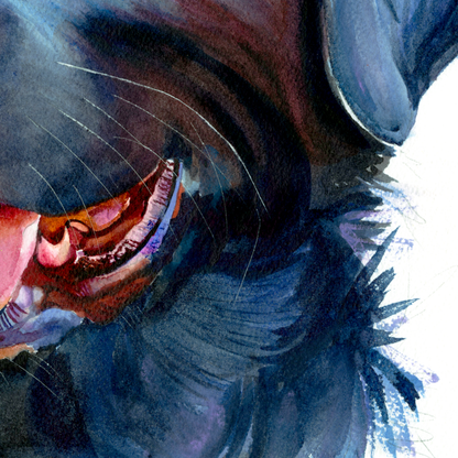 Midnight Blue: Loyal Smile of a Black Labrador