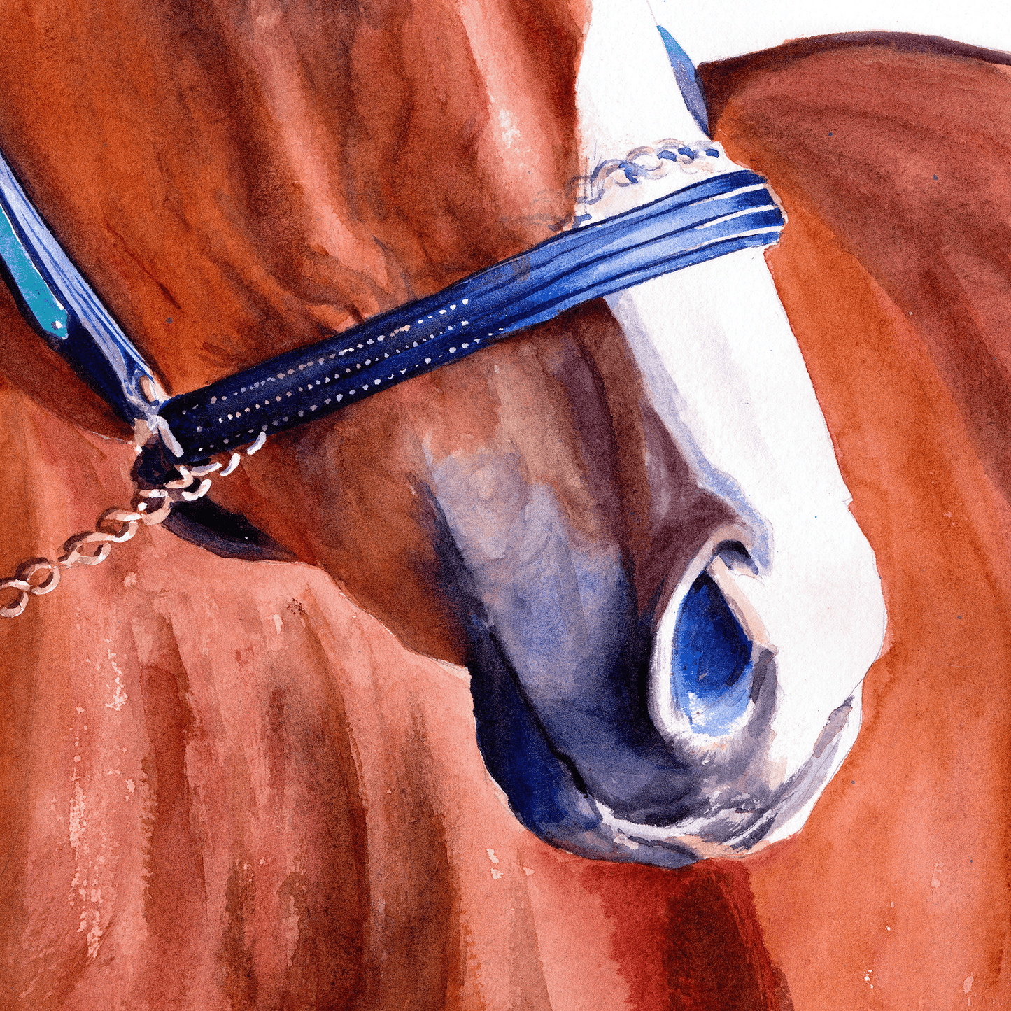 Justify - The Triple Crown Champion with white background