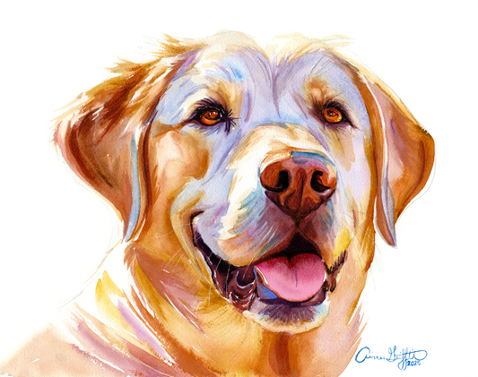 Sunny Days: Loyal & Loving Golden Labrador